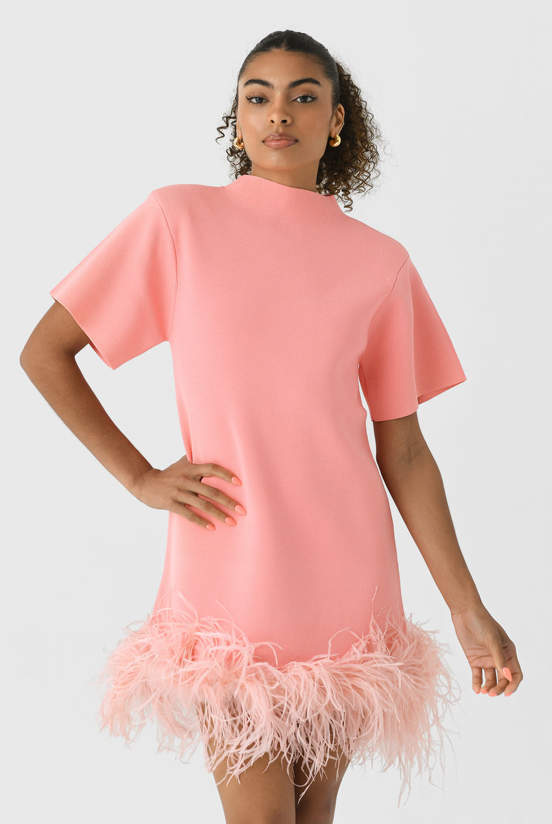 Rachel Gilbert Rita Mini Pink M by Rachel Gilbert available for hire in Hampton East, VIC