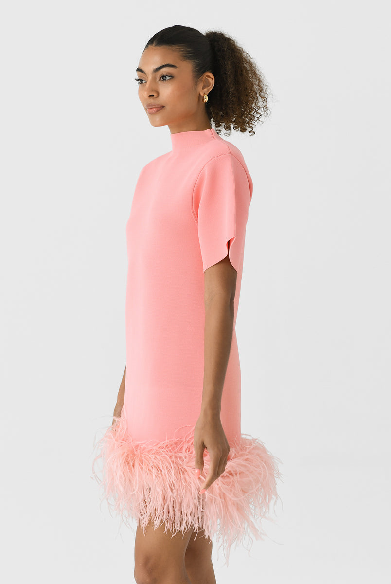 Rachel Gilbert Rita Mini Pink M by Rachel Gilbert available for hire in Hampton East, VIC