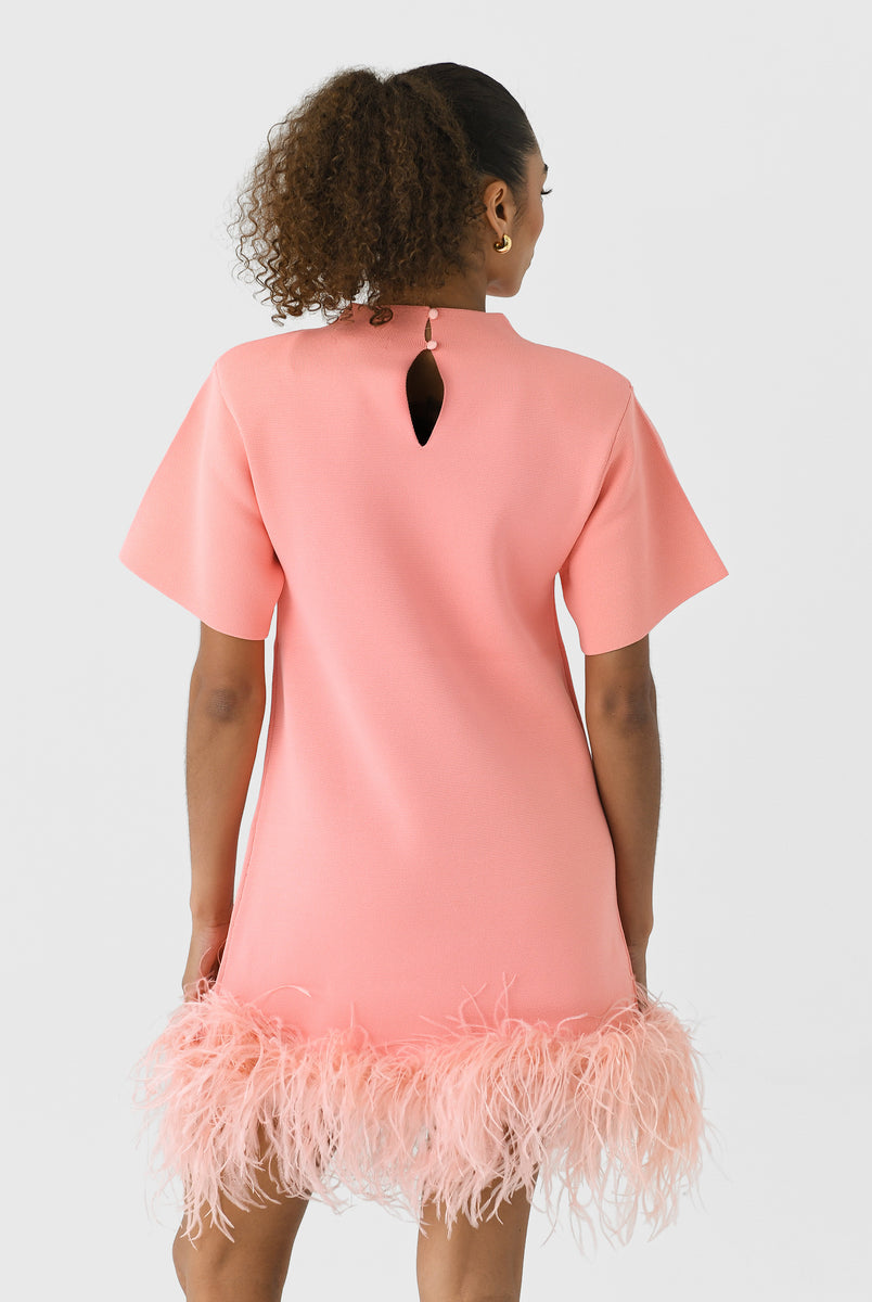 Rachel Gilbert Rita Mini Pink M by Rachel Gilbert available for hire in Hampton East, VIC