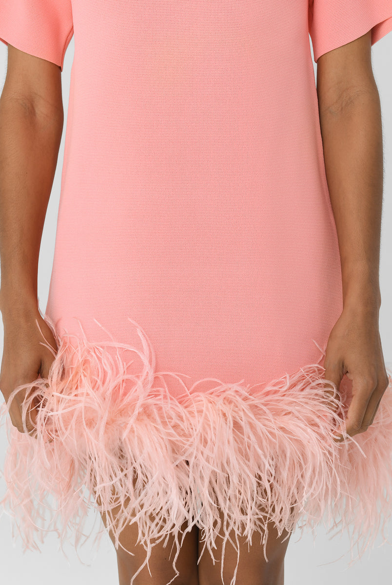 Rachel Gilbert Rita Mini Pink M by Rachel Gilbert available for hire in Hampton East, VIC