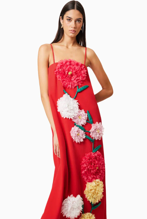 Buttercup Embroidered Maxi Dress In Red by Elliatt available for hire in Camp Hill, QLD
