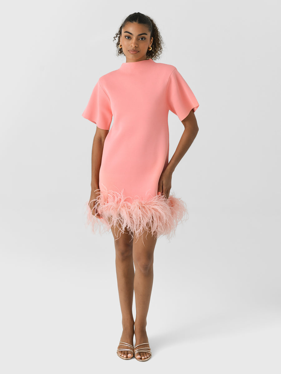 Rachel Gilbert Rita Mini Pink M by Rachel Gilbert available for hire in Hampton East, VIC