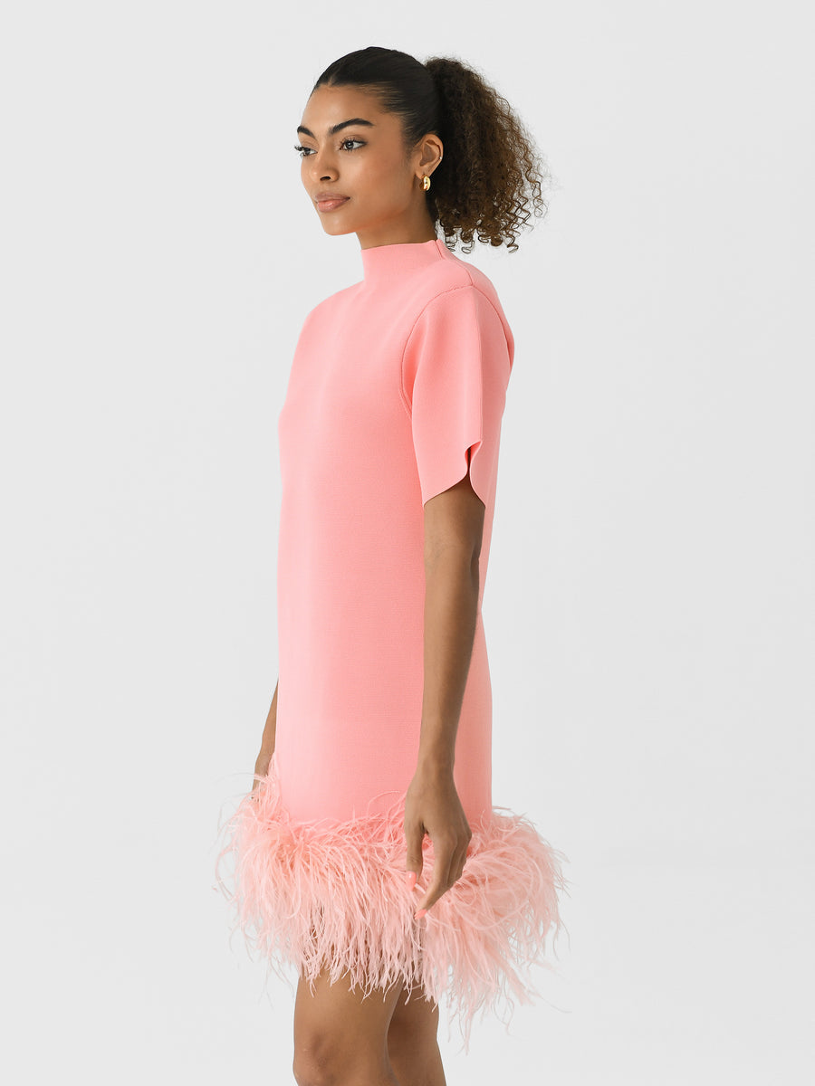 Rachel Gilbert Rita Mini Pink M by Rachel Gilbert available for hire in Hampton East, VIC