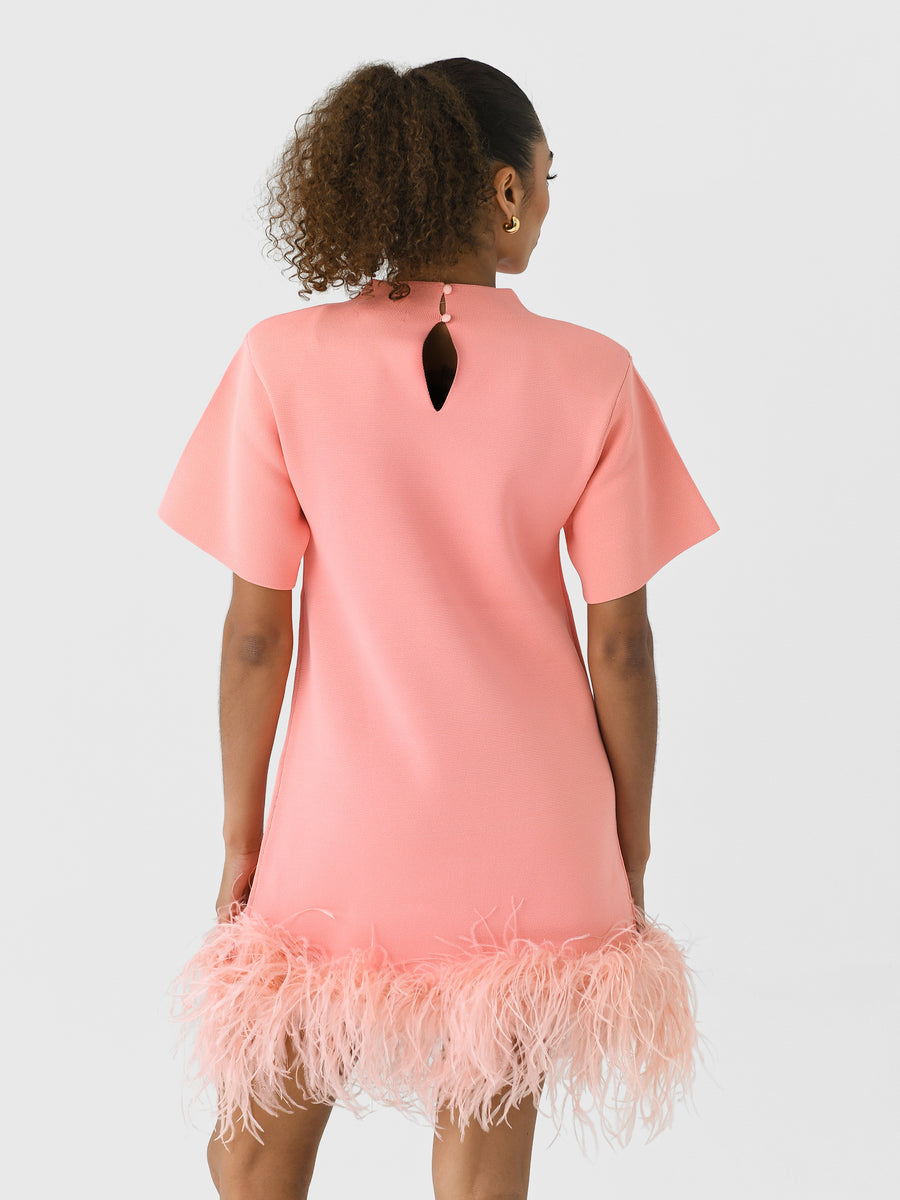 Rachel Gilbert Rita Mini Pink M by Rachel Gilbert available for hire in Hampton East, VIC