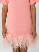 Rachel Gilbert Rita Mini Pink M by Rachel Gilbert available for hire in Hampton East, VIC