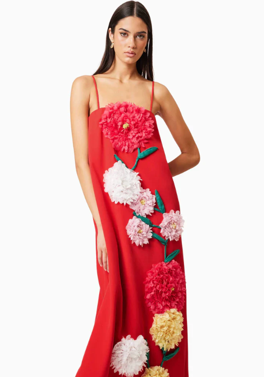 Buttercup Embroidered Maxi Dress In Red by Elliatt available for hire in Camp Hill, QLD
