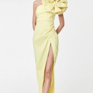 Rachel Gilbert Evana Gown Yellow Size 8 by Rachel Gilbert available for hire in Hampton East, VIC
