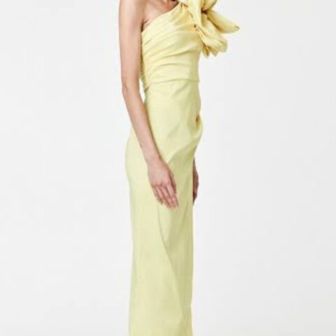 Rachel Gilbert Evana Gown Yellow Size 8 by Rachel Gilbert available for hire in Hampton East, VIC